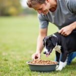 Dog Feeding Guides by Breed Size